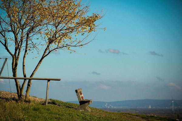 L'évolution de la santé bucco-dentaire chez les seniors