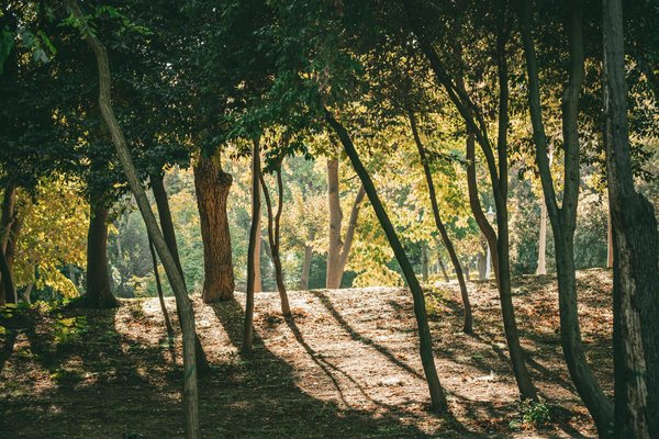 Perdre du poids avec l'aérobie : Un guide étape par étape